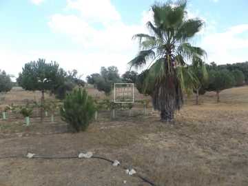 Moradia T10 para Venda em Grândola e Santa Margarida da Serra