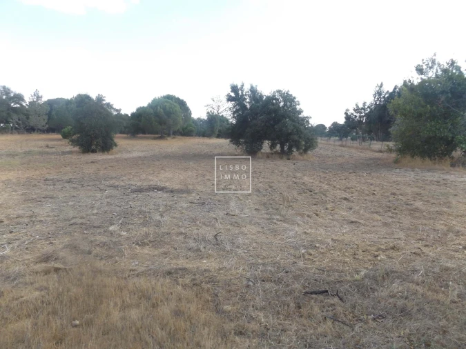 Moradia T10 para Venda em Grândola e Santa Margarida da Serra Foto 25