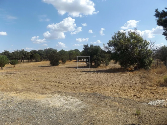 Moradia T10 para Venda em Grândola e Santa Margarida da Serra Foto 23
