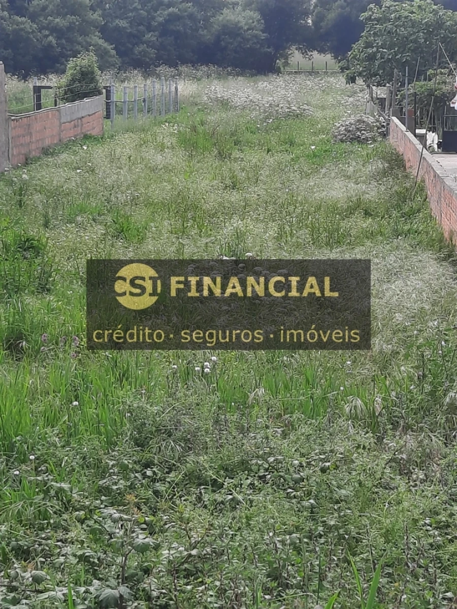 Terreno Agricola ou Rústico para Venda em Paramos Foto 5