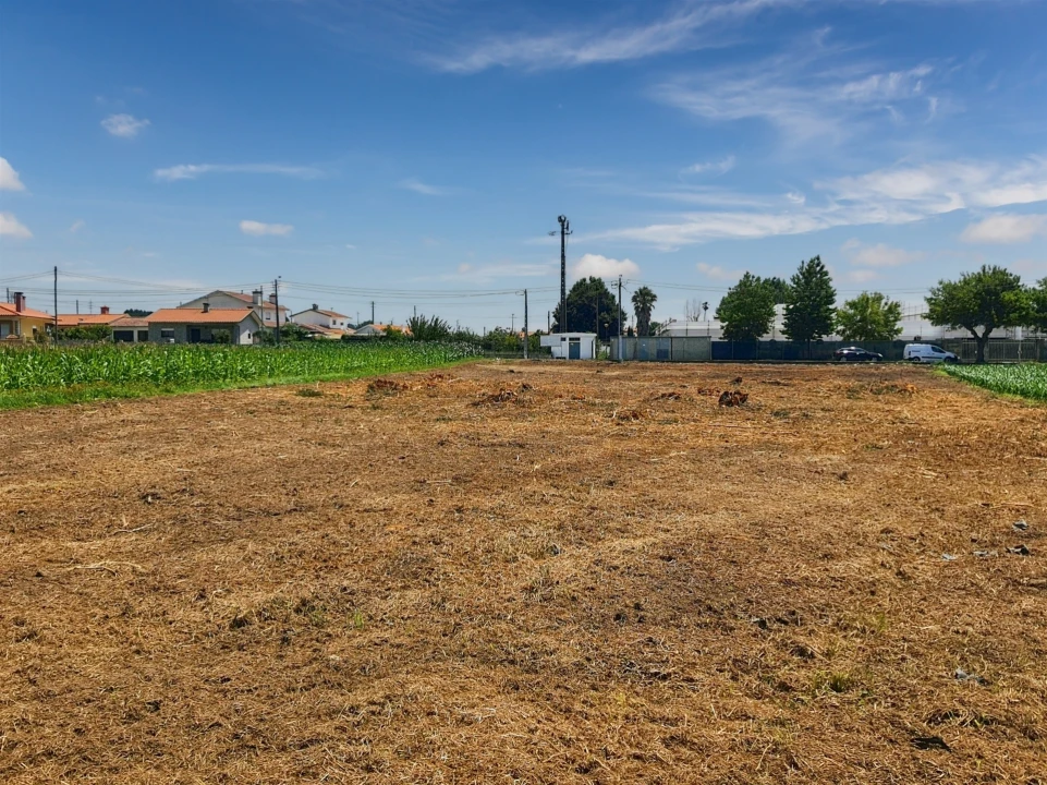 Terreno para Venda em Avanca Foto 19