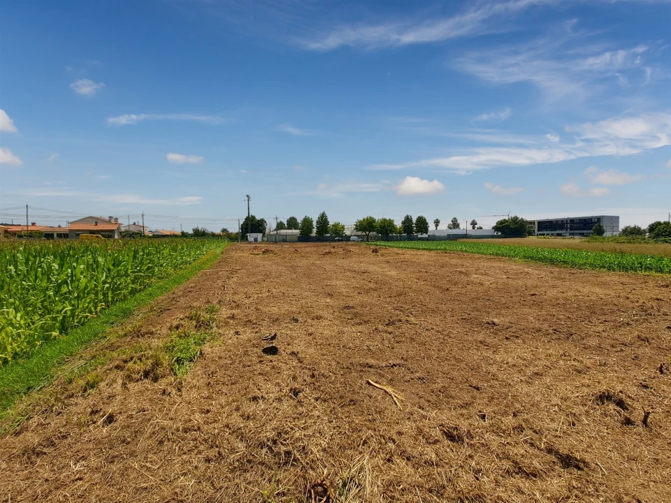 Terreno para Venda em Avanca Foto 15