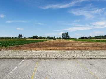 Terreno para Venda em Avanca