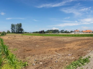 Terreno para Venda em Avanca