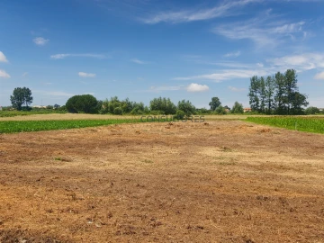 Terreno para Venda em Avanca