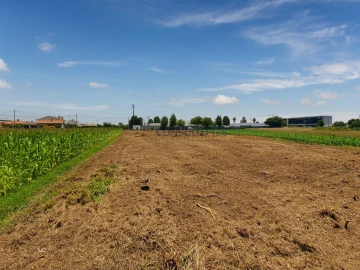 Terreno para Venda em Avanca