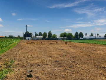 Terreno para Venda em Avanca