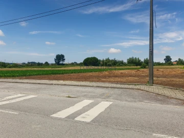 Terreno para Venda em Avanca