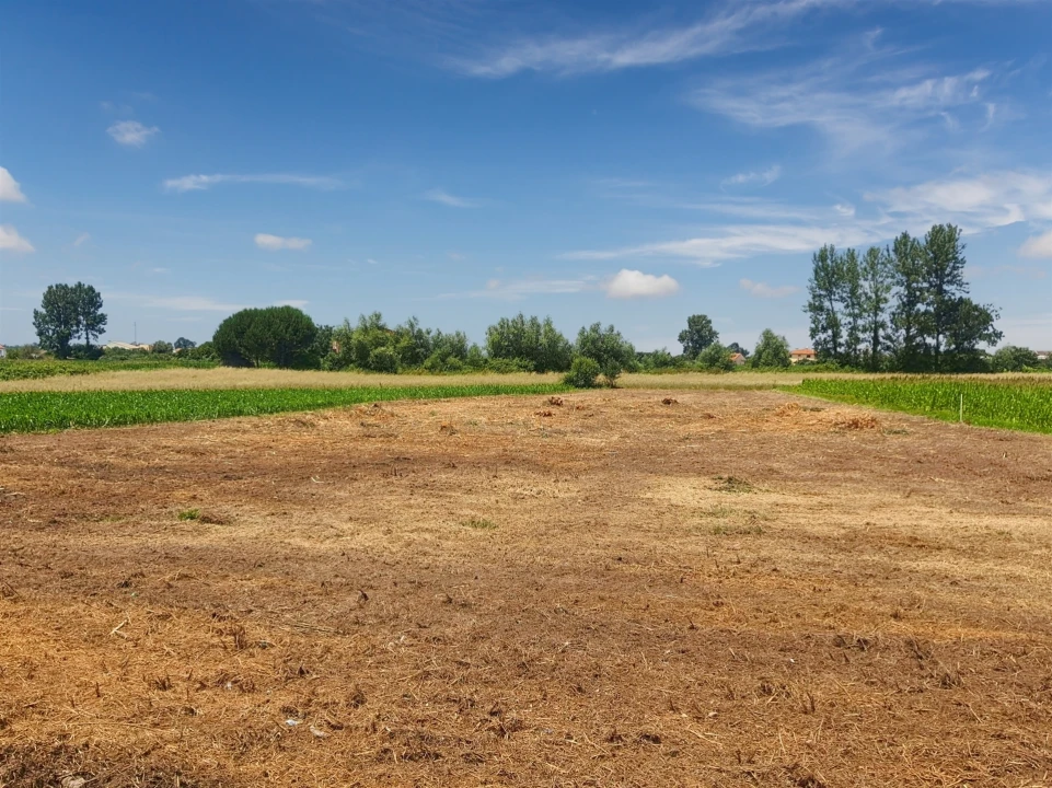 Terreno para Venda em Avanca Foto 20