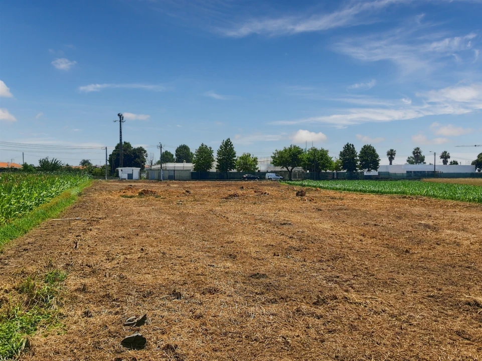 Terreno para Venda em Avanca Foto 22