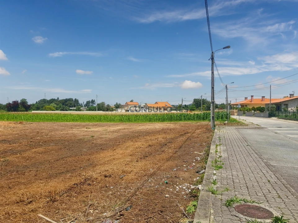 Terreno para Venda em Avanca Foto 31