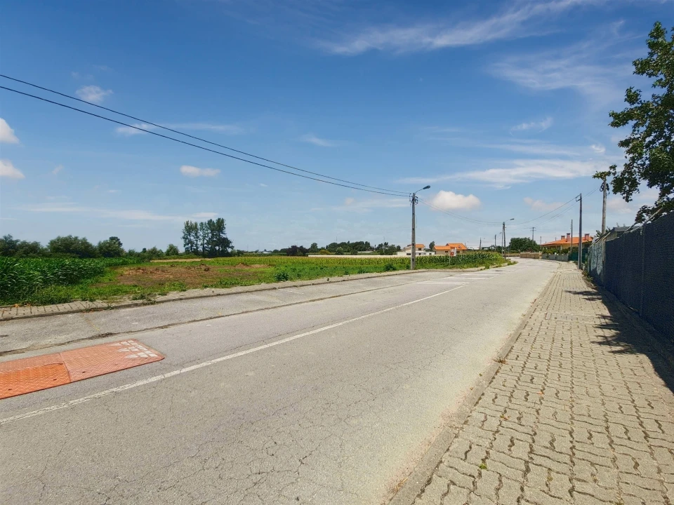 Terreno para Venda em Avanca Foto 3