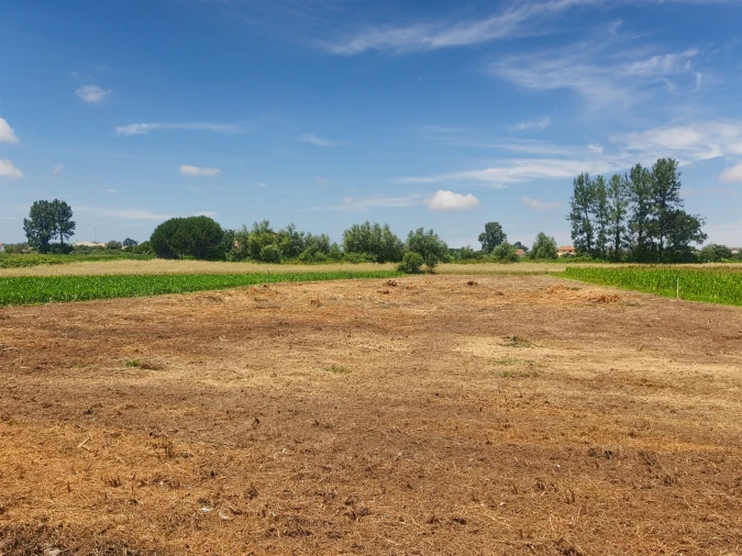 Terreno para Venda em Avanca Foto 17