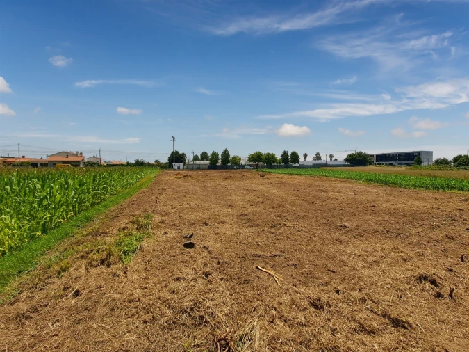 Terreno para Venda em Avanca Foto 15