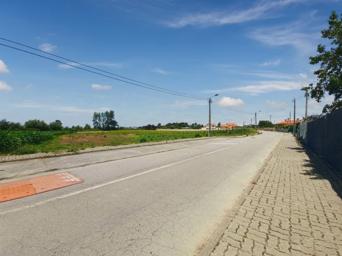 Terreno para Venda em Avanca Foto 3