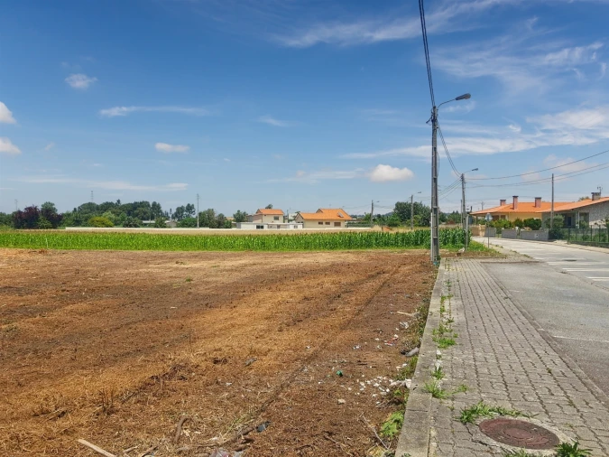 Terreno para Venda em Avanca Foto 10