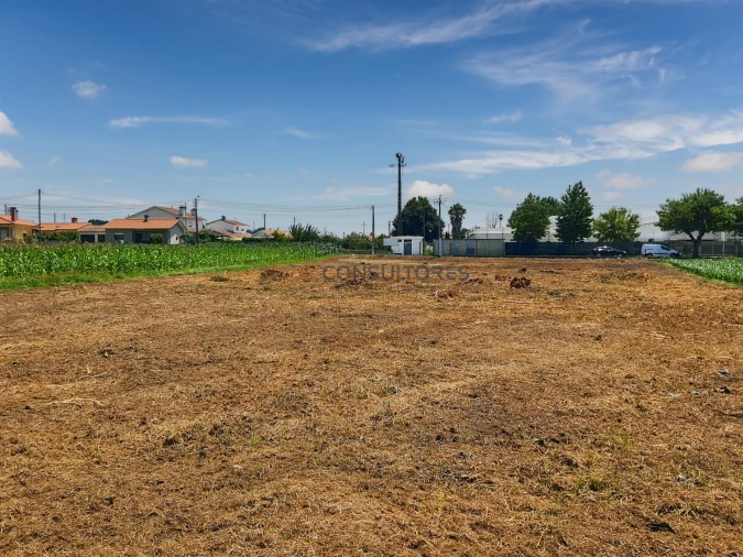Terreno para Venda em Avanca Foto 8