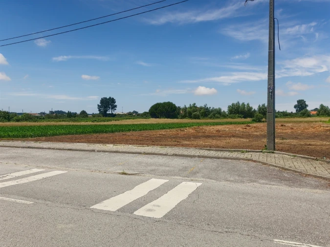 Terreno para Venda em Avanca Foto 14