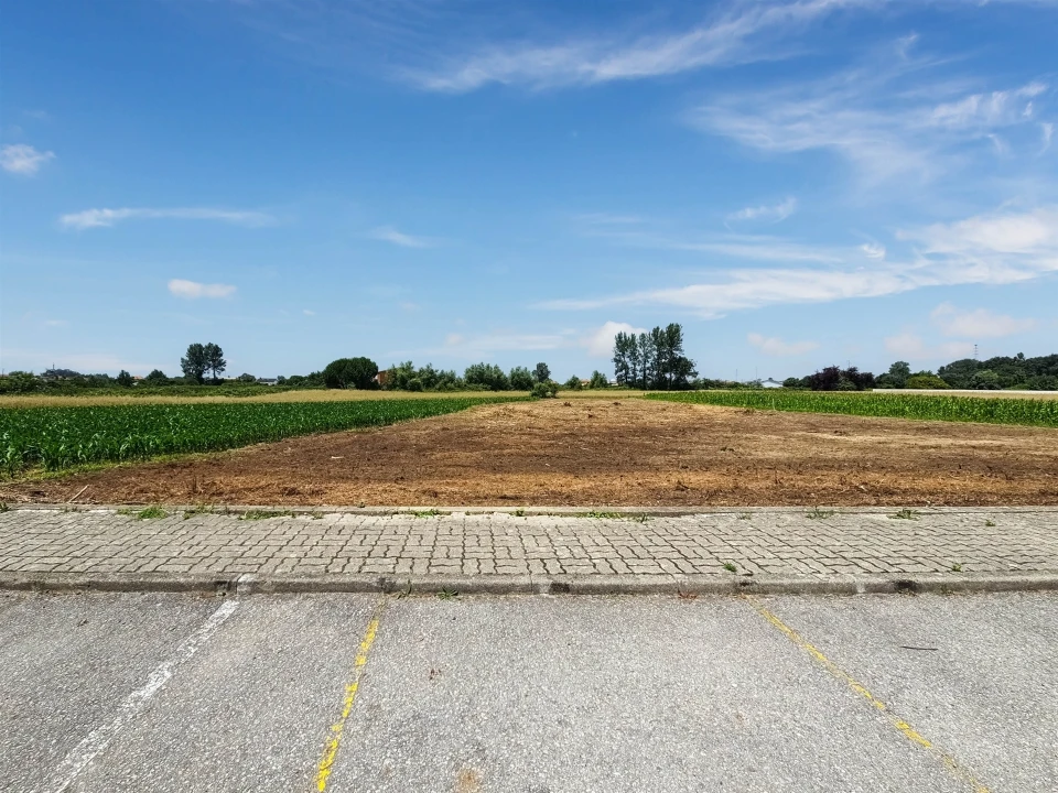 Terreno para Venda em Avanca Foto 18