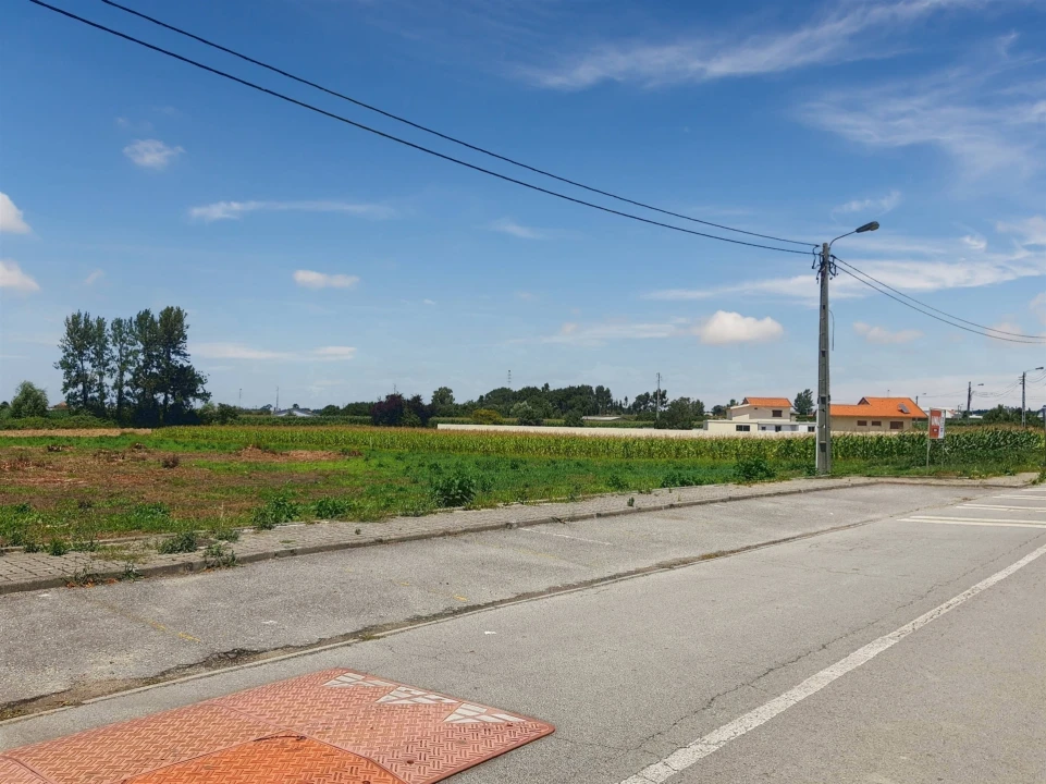 Terreno para Venda em Avanca Foto 5