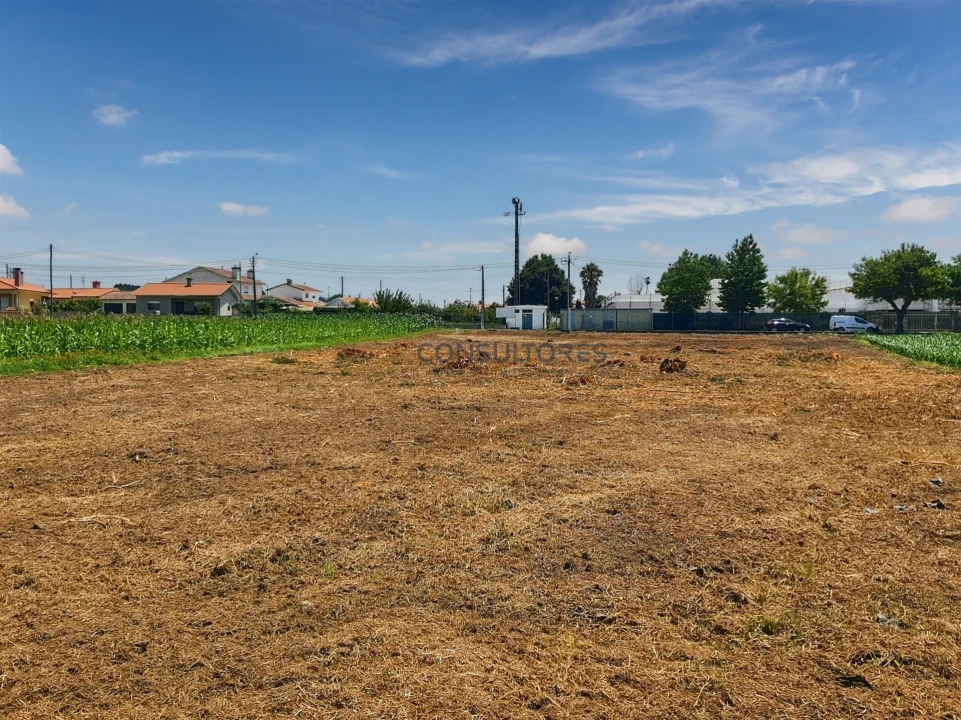 Terreno para Venda em Avanca Foto 8