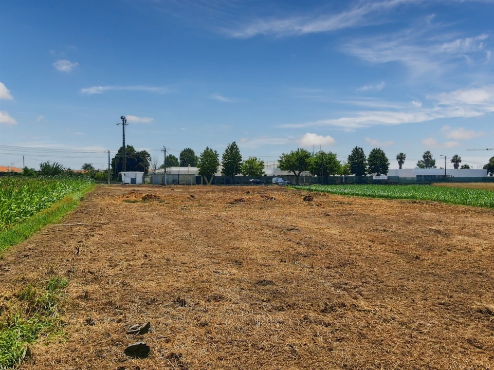 Terreno para Venda em Avanca Foto 11