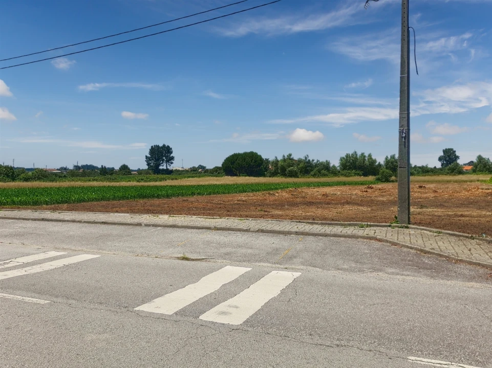 Terreno para Venda em Avanca Foto 14