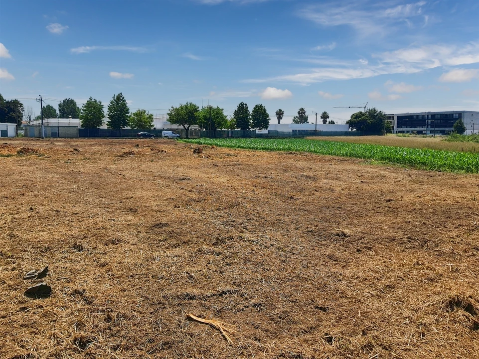 Terreno para Venda em Avanca Foto 12