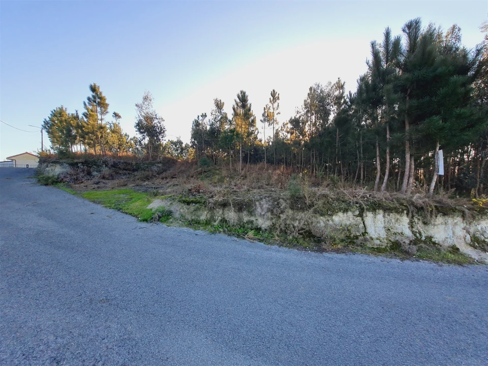 Terreno para Venda em Canelas e Fermelã Foto 9