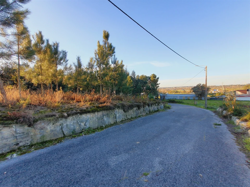 Terreno para Venda em Canelas e Fermelã Foto 17