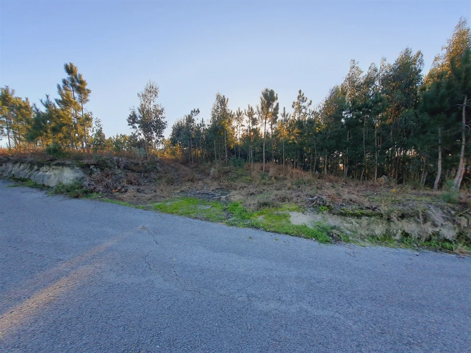 Terreno para Venda em Canelas e Fermelã Foto 11