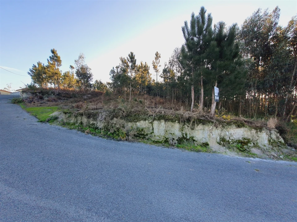 Terreno para Venda em Canelas e Fermelã Foto 8