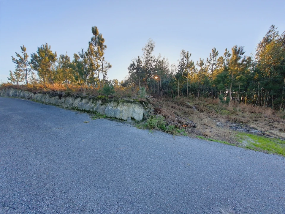 Terreno para Venda em Canelas e Fermelã Foto 13