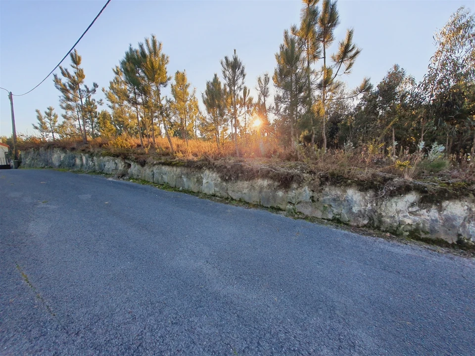 Terreno para Venda em Canelas e Fermelã Foto 15