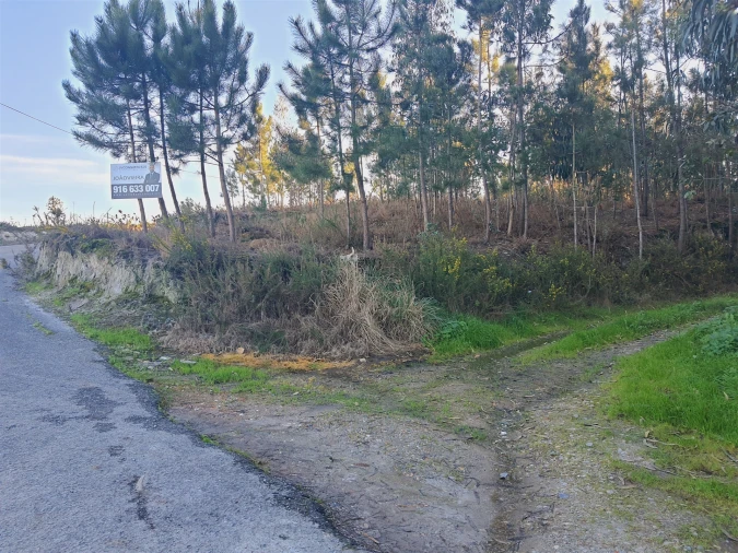 Terreno para Venda em Canelas e Fermelã Foto 5