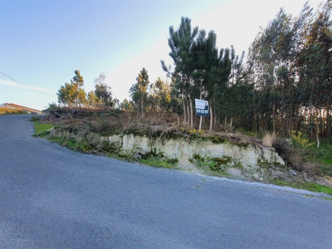 Terreno para Venda em Canelas e Fermelã Foto 7