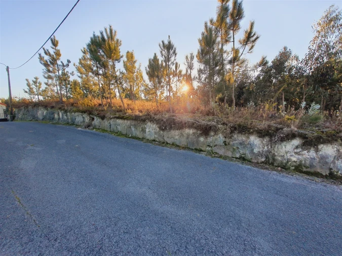 Terreno para Venda em Canelas e Fermelã Foto 15