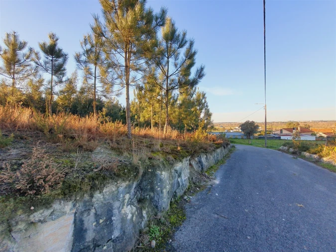 Terreno para Venda em Canelas e Fermelã Foto 2