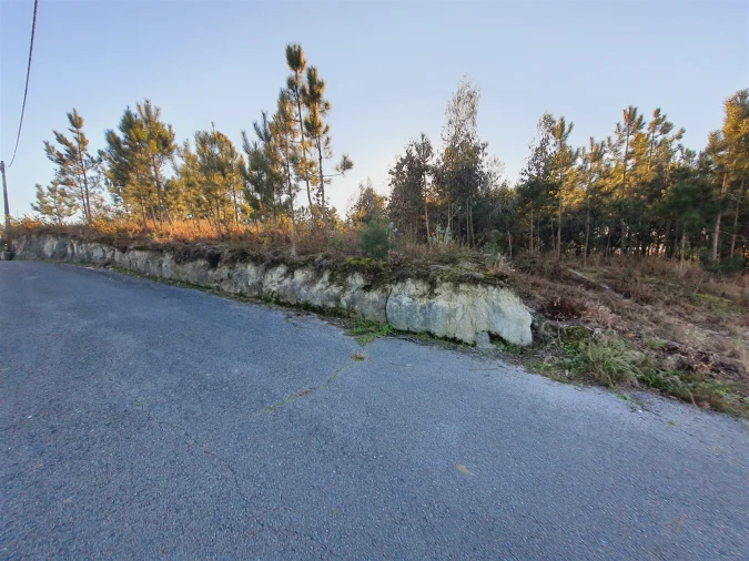 Terreno para Venda em Canelas e Fermelã Foto 14