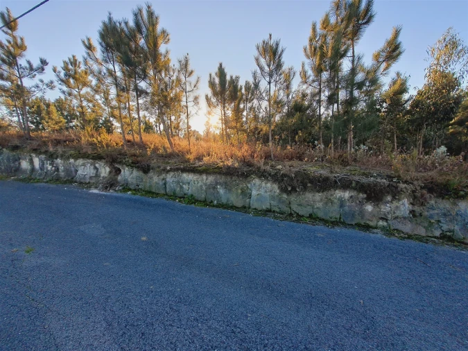 Terreno para Venda em Canelas e Fermelã Foto 16