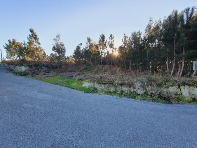 Terreno para Venda em Canelas e Fermelã Foto 10