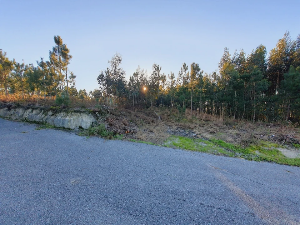 Terreno para Venda em Canelas e Fermelã Foto 12