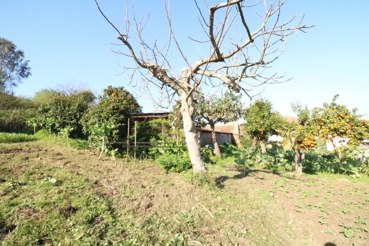 Quinta T3 para Venda em Canelas e Fermelã Foto 15