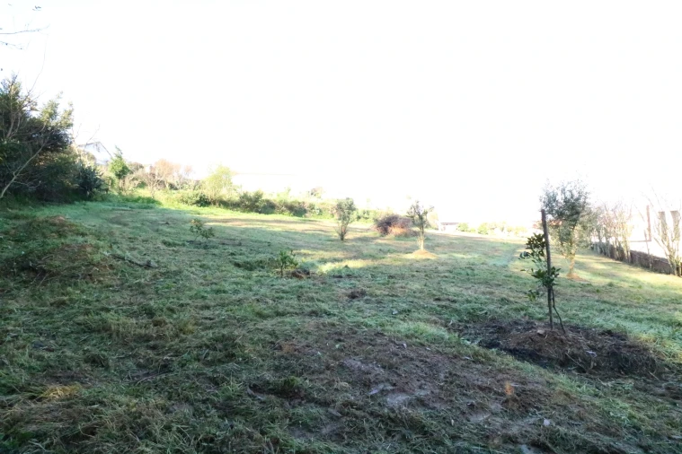 Quinta T3 para Venda em Canelas e Fermelã Foto 18