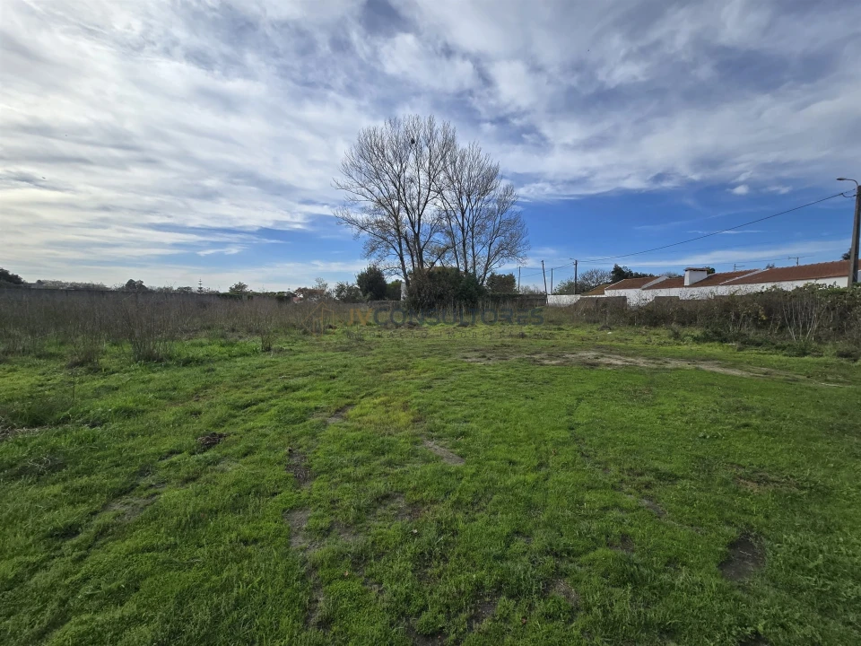 Terreno para Venda em Pardilho Foto 5