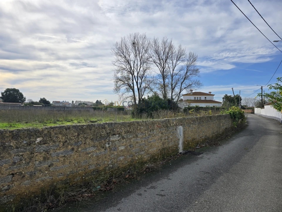 Terreno para Venda em Pardilho Foto 11