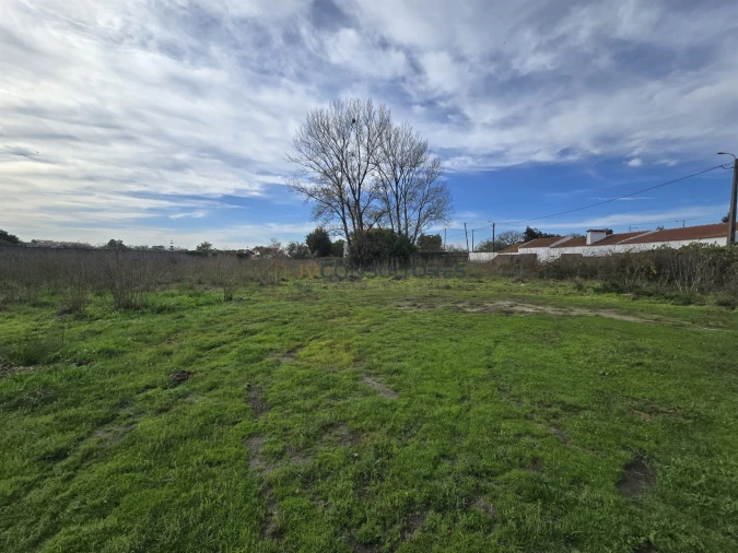 Terreno para Venda em Pardilho Foto 5