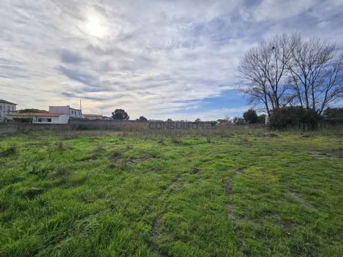 Terreno para Venda em Pardilho Foto 3
