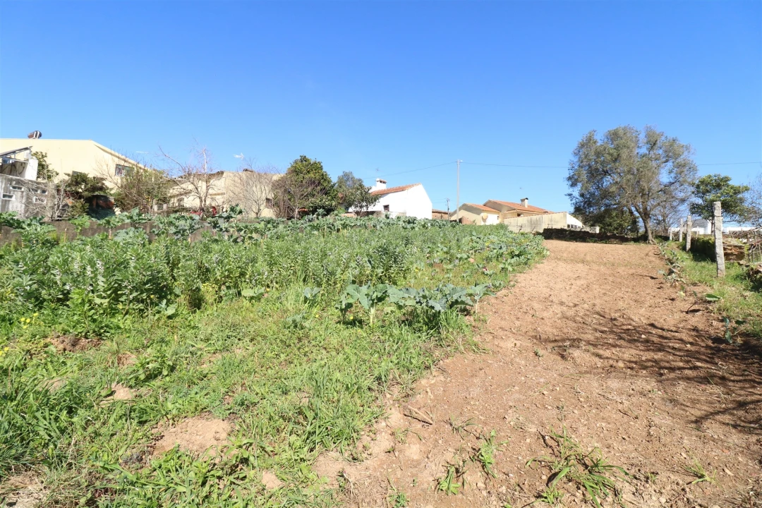Terreno para Venda em Canelas e Fermelã Foto 7