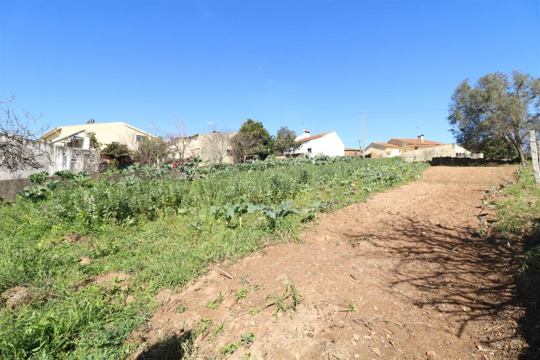 Terreno para Venda em Canelas e Fermelã Foto 8